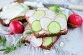 Healthy vegetarian sandwiches with radish and cucumber slice Royalty Free Stock Photo