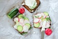 Healthy vegetarian sandwiches with radish and cucumber slice Royalty Free Stock Photo