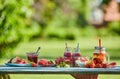 Healthy, vibrant summer berry desserts picnic