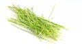 Healthy wheatgrass