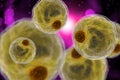 Adipocyte Human Fat Cells 3D Illustration Royalty Free Stock Photo