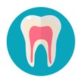 Healthy white teeth. Icon flat style. Dentistry, dentist concept. Isolated on white background. Vector illustration.