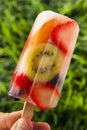 Healthy Whole Fruit Popsicles