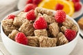 Healthy Whole Wheat Shredded Cereal Royalty Free Stock Photo