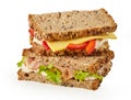 Healthy wholegrain sandwich with meat and cheese Royalty Free Stock Photo