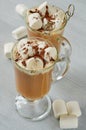 Healthy winter Christmas cocktail - hot cocoa drink with marshmallows and chocolate powder in the glasses on the gray table Royalty Free Stock Photo