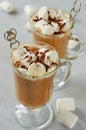 Healthy winter Christmas cocktail - hot cocoa drink or spiced coffee with marshmallows and chocolate powder in the glass Royalty Free Stock Photo