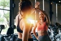 Healthy women giving high five to each other while pushing up in the fitness gym. Sporty girl friends working out Royalty Free Stock Photo