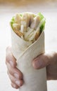 Healthy wrap chicken