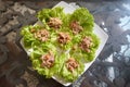 Healthy wrap salad roll with tuna Royalty Free Stock Photo