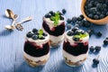 Healthy yogurt dessert with muesli, berry mousse and blueberries.