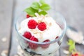 Healthy yogurt dessert with muesli, raspberries and black currants.