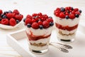 Healthy yogurt dessert with muesli, strawberry mousse, raspberries, blueberries and red currants. Royalty Free Stock Photo