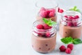 Healthy yogurt with fresh raspberries, selective focus Royalty Free Stock Photo