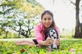 Healthy young asian woman exercising at park. Fit young woman doing training workout in morning. Royalty Free Stock Photo