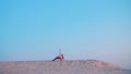 Healthy, young beautiful woman meditating, stretching, practicing yoga on the sea beach, at sunrise, Makes exercises for Royalty Free Stock Photo