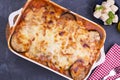 Healthy zucchini lasagna bolognese in a baking dish.Oven baked traditional Italian cuisine with mozzarella, parmesan Royalty Free Stock Photo