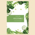Green vegetables watercolor Poster Organic menu idea farm, healthy organic design, aquarelle vecator illustration