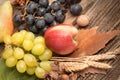 Healty diet (food) - Fresh organic seasonal autumn fruit