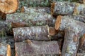 A heap of alder tree logs