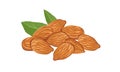 Heap of almonds isolated. Vector illustration of nuts