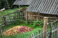 Heap Of Apples in Village Rustic Country Side