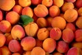 Heap of apricots with one green leaf, view from above Royalty Free Stock Photo