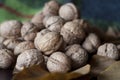 A heap of walnuts on a leaf Royalty Free Stock Photo