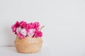 Heap of beautiful fresh pink peony flowers in full bloom. Royalty Free Stock Photo