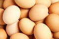 Heap beige chicken eggs