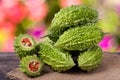 Heap of bitter melon or momordica on wooden table with blurred background Royalty Free Stock Photo