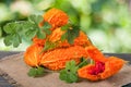 Heap of bitter melon or momordica on wooden table with blurred background Royalty Free Stock Photo