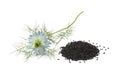 Heap of black nigella seeds and flower Royalty Free Stock Photo