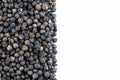 Heap of black pepper seeds on white background Royalty Free Stock Photo