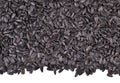 Heap of black sunflower seeds on a white Royalty Free Stock Photo