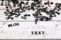 A heap of black wooden letters are lying on the table and create the words blog and text