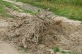 A heap of brown earth branches and roots of a tree Royalty Free Stock Photo