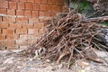 Heap of brushwood at the backyard of a garden Royalty Free Stock Photo