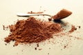 Heap of cacao powder