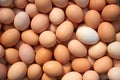 Heap of chicken eggs