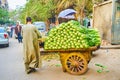 Heap of Chinese cabbage on vintage cart, Cairo, Egypt