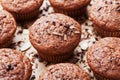 Heap of chocolate muffin on sweet background.