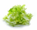 Heap of chopped iceberg lettuce