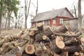 Heap of chopped logs Royalty Free Stock Photo