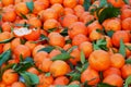 Heap of clementines, a hybrid between mandarin and sweet orange,just picked. Food background