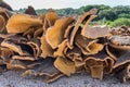 Heap of cork tree bark as raw commodity Royalty Free Stock Photo