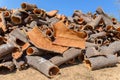 Heap of cork tree bark as raw material Royalty Free Stock Photo