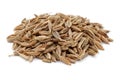 Heap of Cumin seeds on white background