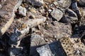 Heap of the damaged concrete blocks and bricks