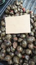 heap of dark colored archidendron pauciflorum vegetable seeds. Royalty Free Stock Photo